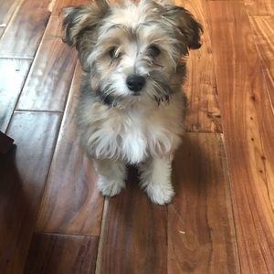 Meet your Posher, Pamela